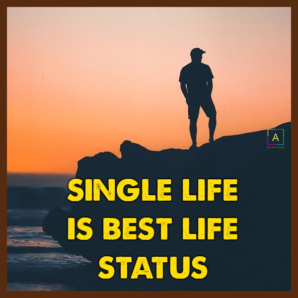 Single Life Status For Whatsapp Single Life Is Best Life Status Image